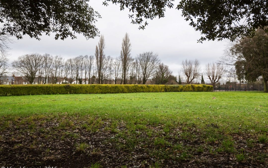 Orchard Planting
